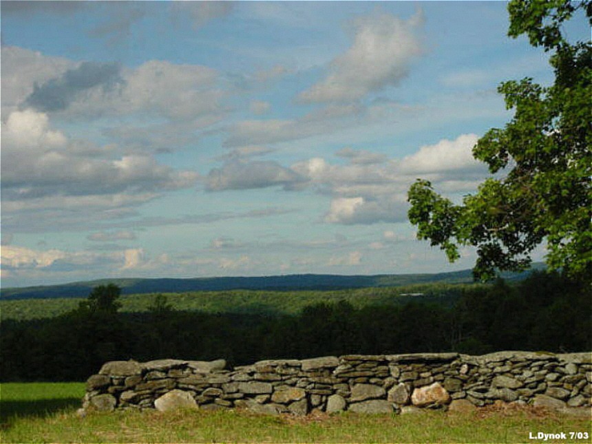 View12